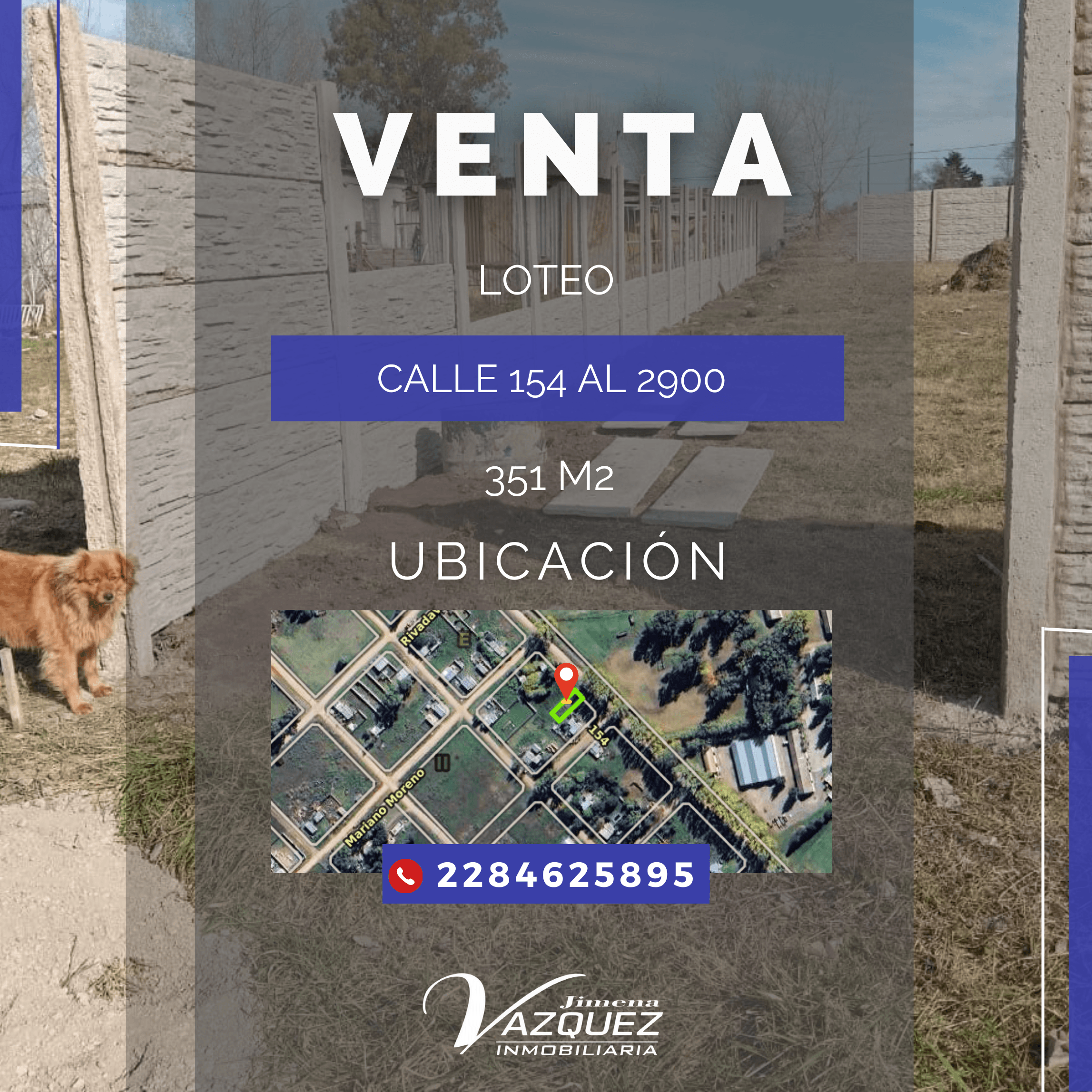 🌳 ¡LOTE DISPONIBLE!